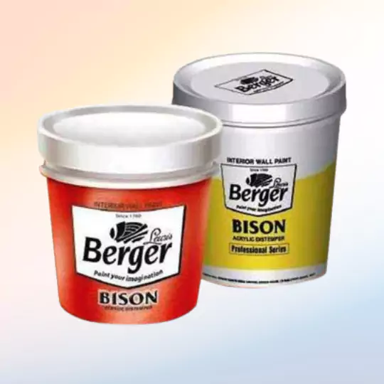 raayna electricals pvt ltd offers berger paints