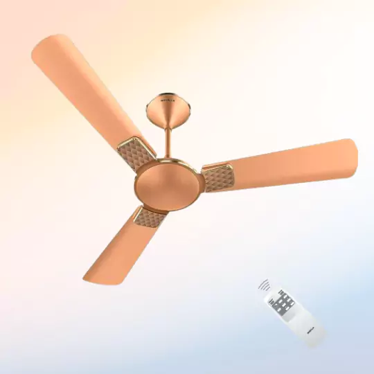 raayna electricals pvt ltd offers havells ceiling fans for home